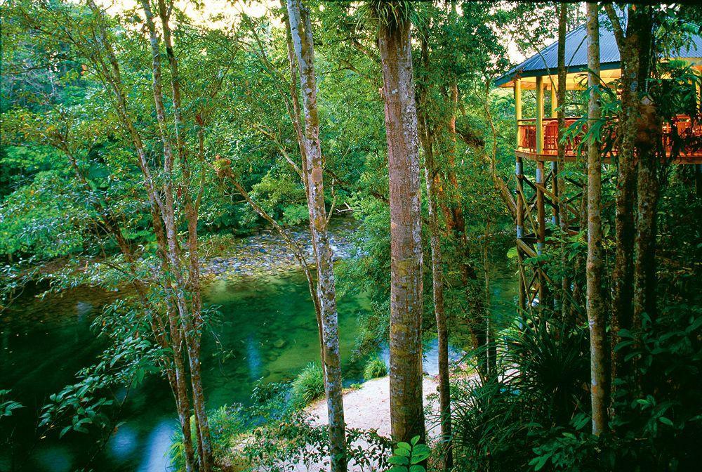 Silky Oaks Lodge Mossman Extérieur photo